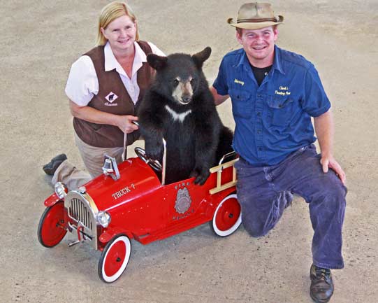 The Bear Show at Clark's