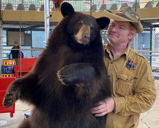 The Bear Show at Clark's